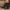8c3b55c141f54fbebb390825dc0bc617-Max-Origin