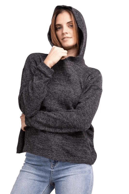 Hooded Brushed Melange Hacci Sweater Sweaters