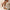 911db75a43bf4ad3b78ee250aa5e9e38-Max-Origin