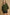953a0be5-543b-4787-b319-4854ec812786-Max-Origin