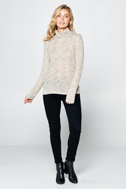 Renee C Long Sleeve Knit Turtleneck Top - DAVERRI FASHIONS