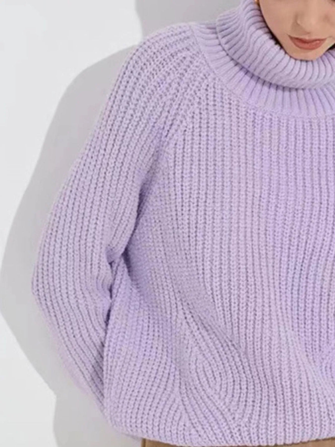 Turtleneck Long Sleeve Sweater | Sweaters Daverri Fashions