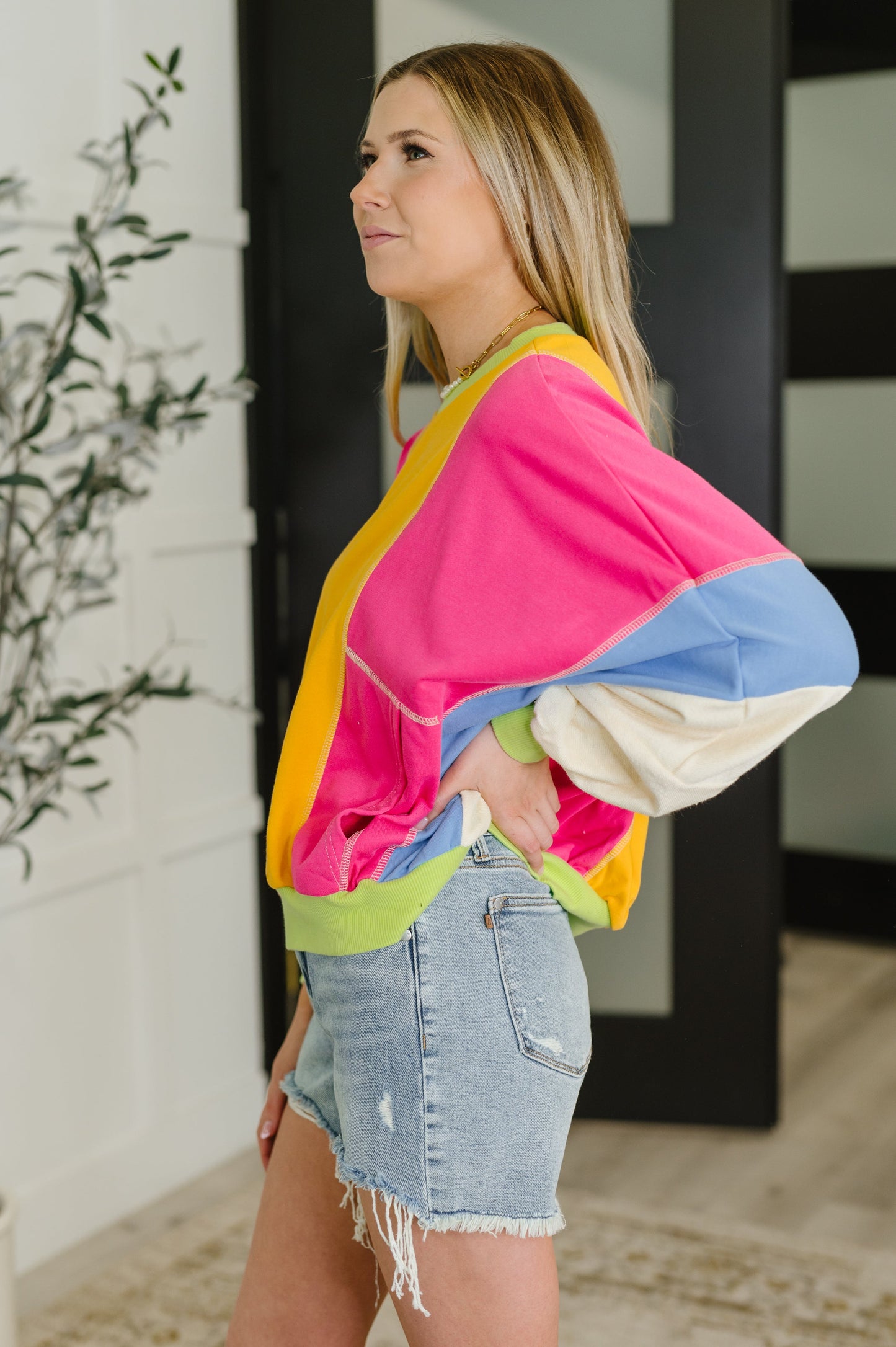 Dolman Sleeve Color Block Pullover Tops