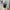 Compact Vegan Leather Crossbody Bag Handbags