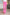 Magic Flare Pants in Eleven Colors Dark Pink Pants