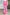 Magic Flare Pants in Eleven Colors Pants