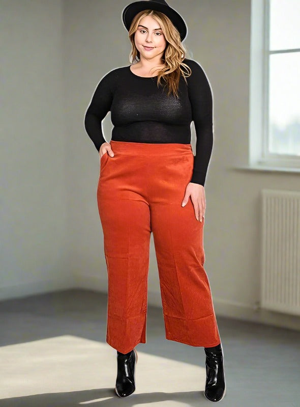 Plus Size Velvet Capri Pants Pants