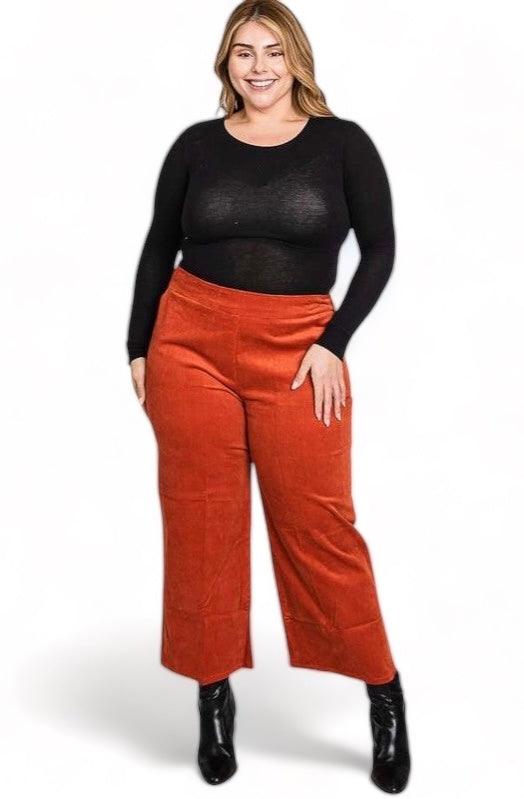 Plus Size Velvet Capri Pants Pants