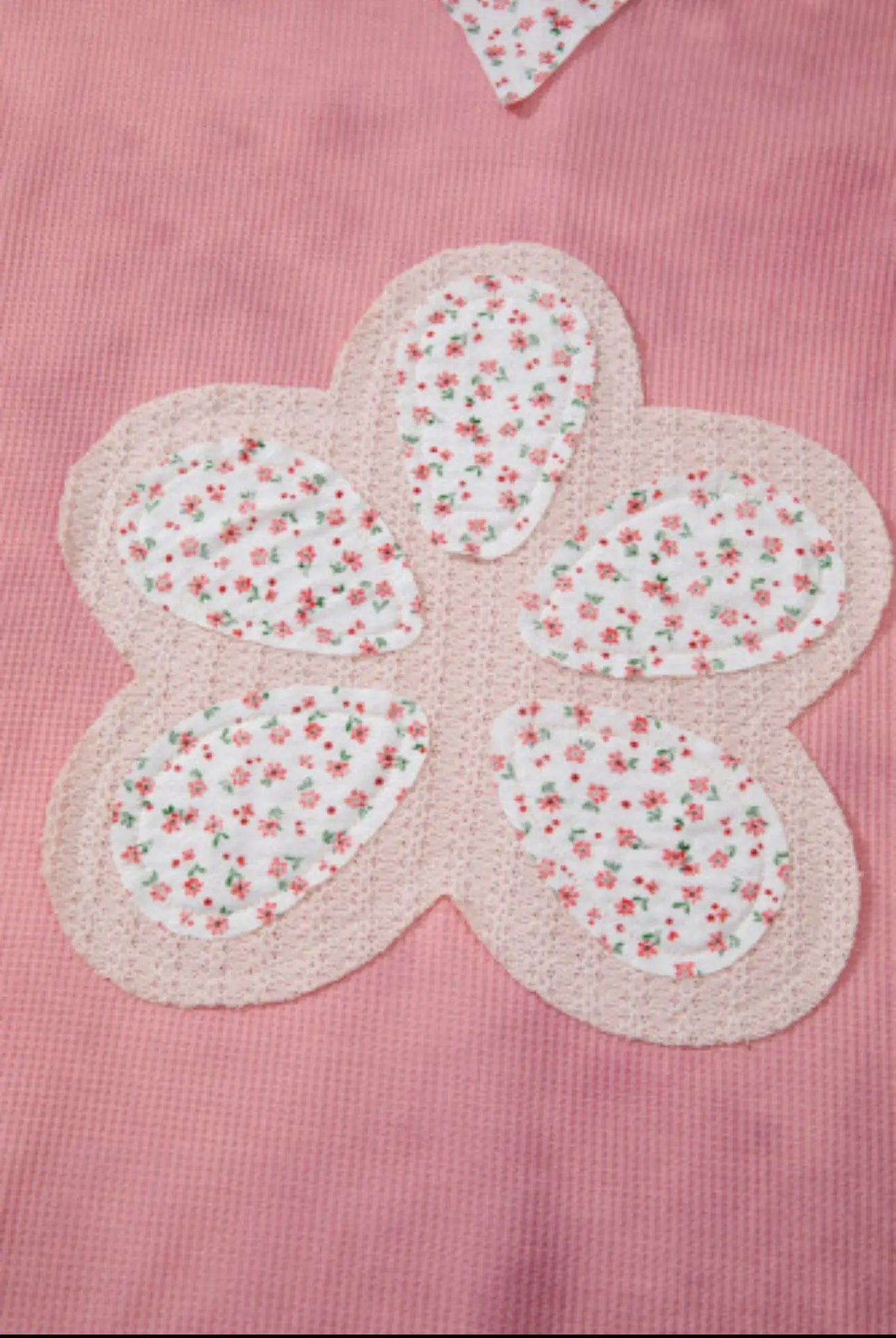 Floral Patch V-Neck Hooded Sweatshirt