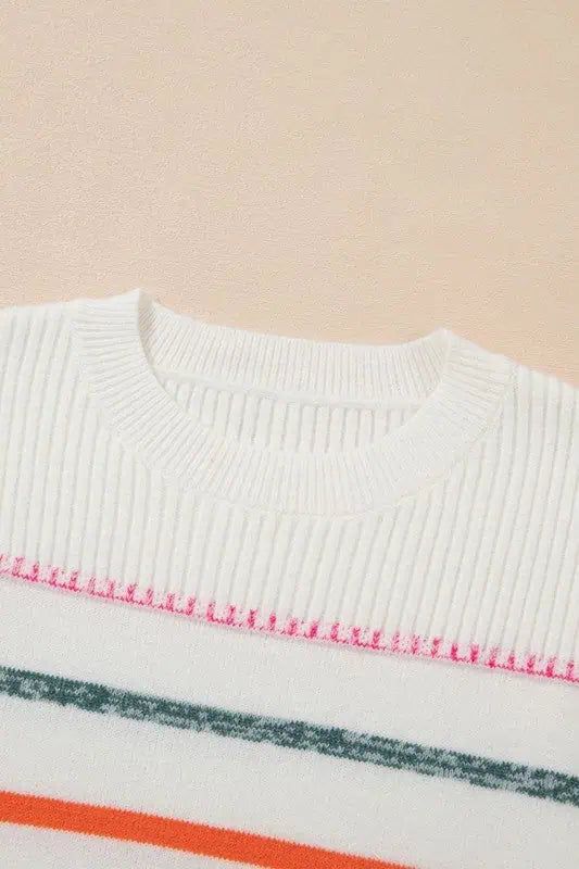 Striped Ribbed Trim Round Neck Sweater Tops