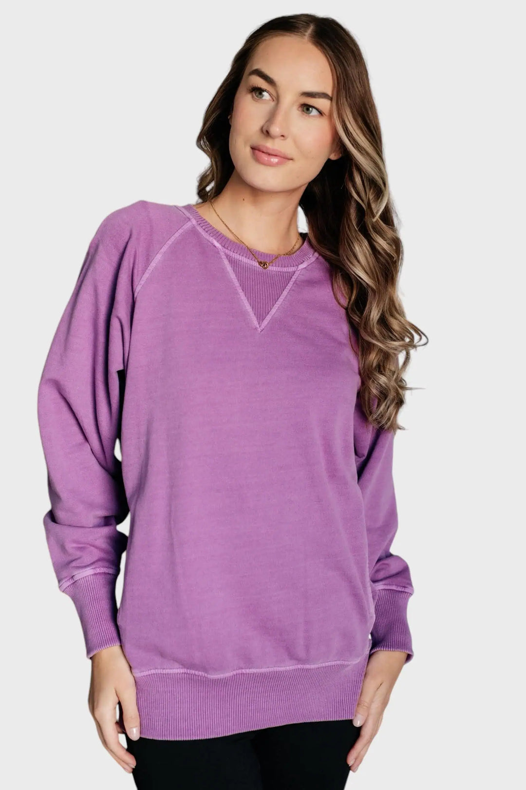 Hands Down Favorite Sweatshirt in Light Plum Tops