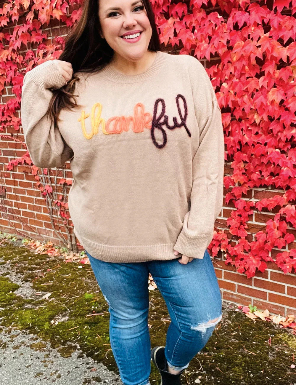 Feeling Thankful Taupe Pop Up Glittery Embroidery Sweater | Daverri Fashions