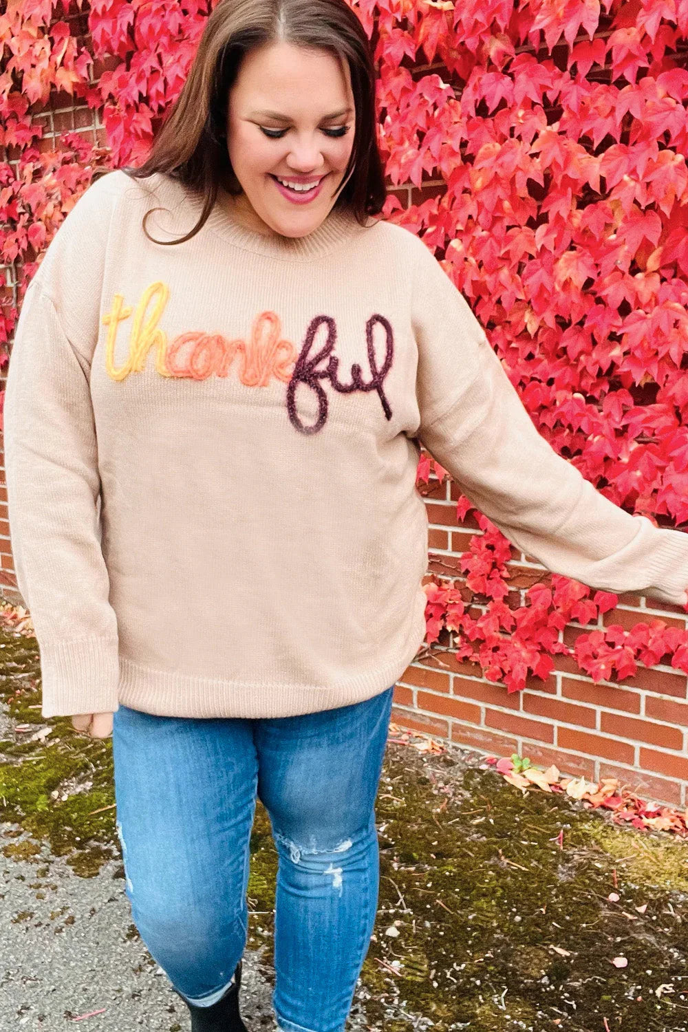 Feeling Thankful Taupe Pop Up Glittery Embroidery Sweater | Daverri Fashions