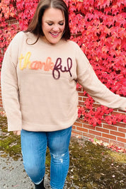 Feeling Thankful Taupe Pop Up Glittery Embroidery Sweater | Daverri Fashions