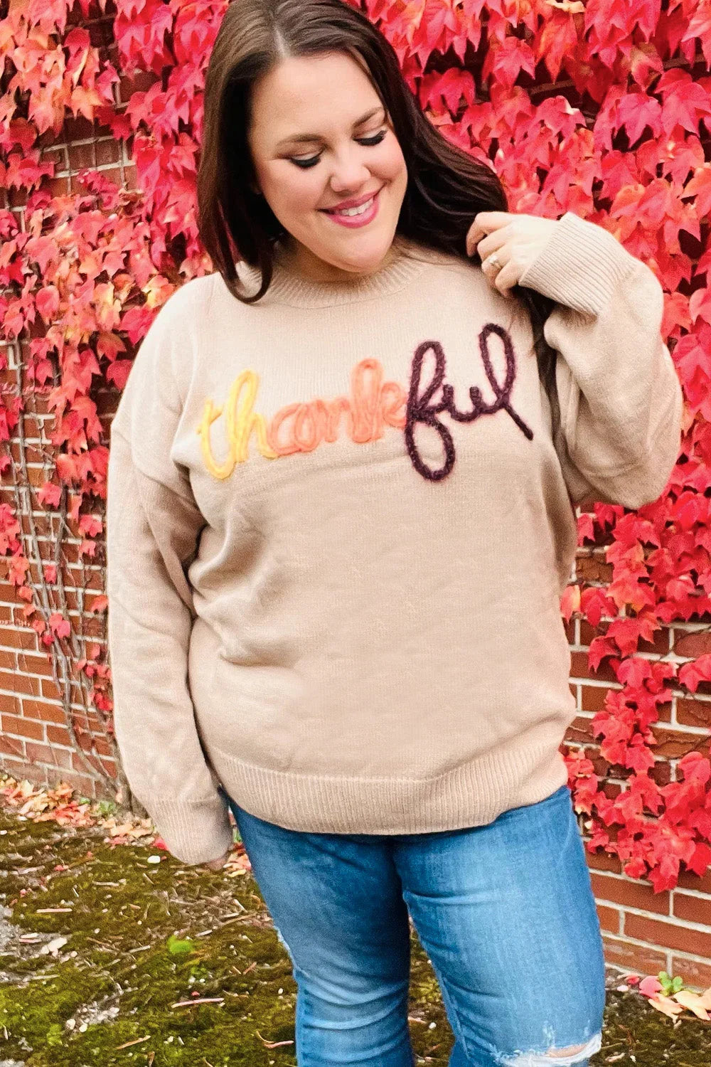 Feeling Thankful Taupe Pop Up Glittery Embroidery Sweater | Daverri Fashions