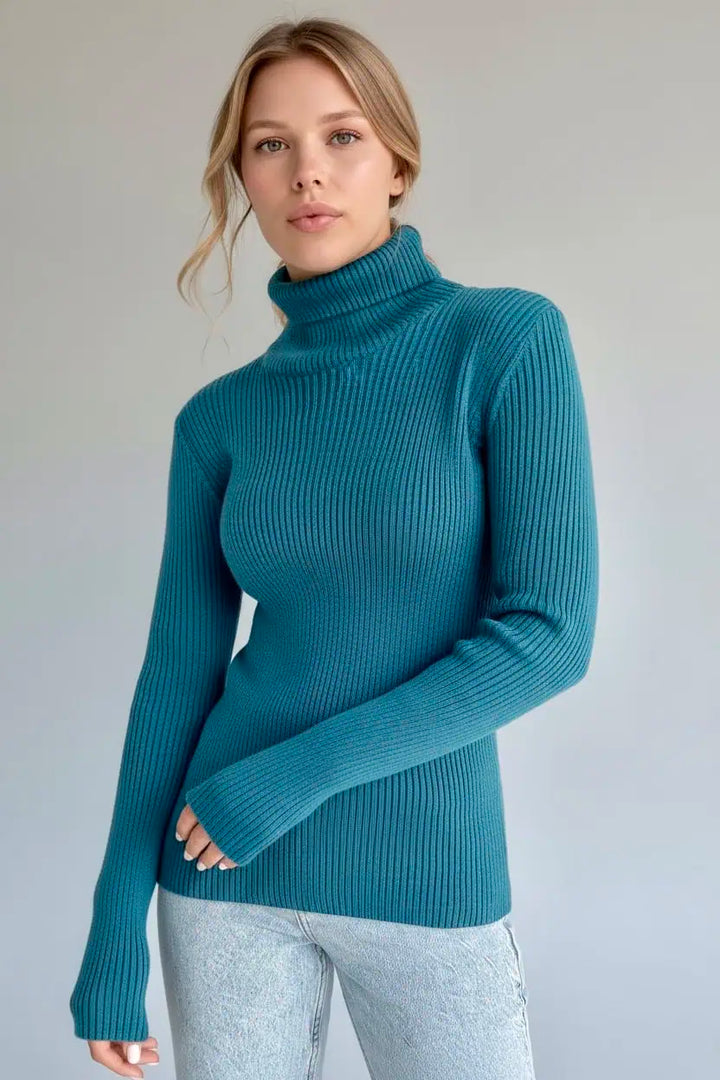 Women's Knit Turtleneck Pullover | Sweaters Daverri Fashions