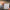 a0157b4f-b7e6-4b1f-962e-45b502c68472-Max