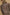 aa02ea78-5377-4a52-b082-2fba2d920bbf-Max-Origin