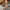 ac1b8828122e4ddfbf93f2f8666264e3-Max-Origin