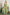 ADORA Elastic Detail Tropical Jumpsuit Jumpsuits