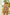 BiBi Bleached Vintage Plaid Wide Leg Overalls with Pockets Shortalls