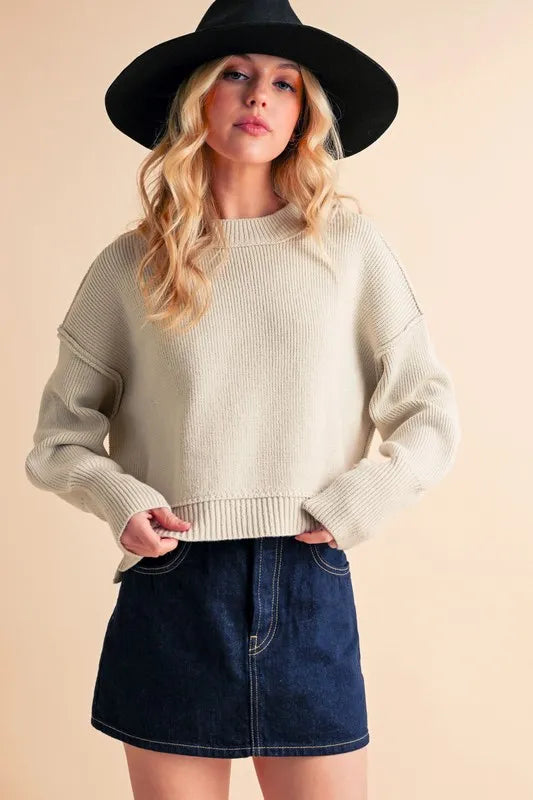 Aemi+Co Ribbed Hem Exposed Seam Round Neck Sweater PEARL