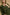 c614a8e2-79f0-418d-ae7f-a55386c2ac0e-Max-Origin