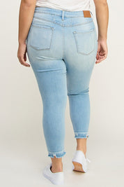 Artemis Vintage Plus High Rise Crop Skinny Jeans | Jeans Daverri Fashions