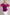 Umgee Full Size Velvet Embroidery Short Sleeve Blouse Violet S Blouses