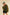 Aemi + Co Collared Neck Zip Up Sherpa Jacket Jackets