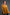 Umgee Sequin Detail Tiered Back Half Sleeve Shirt Mustard S