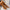 d3c42cb71bc34ce9b21a47cad1b82f98-Max-Origin