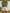 d7f0dd13-ff47-4799-b025-658b77f25cf3-Max