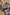 dad88556-4feb-4eee-ac52-6405e45b2e89-Max-Origin