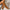 dae3615fe1d1403f94e69d44e2b54711-Max-Origin