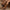 e194a6f0c605402e83a0a4358ce51789-Max-Origin