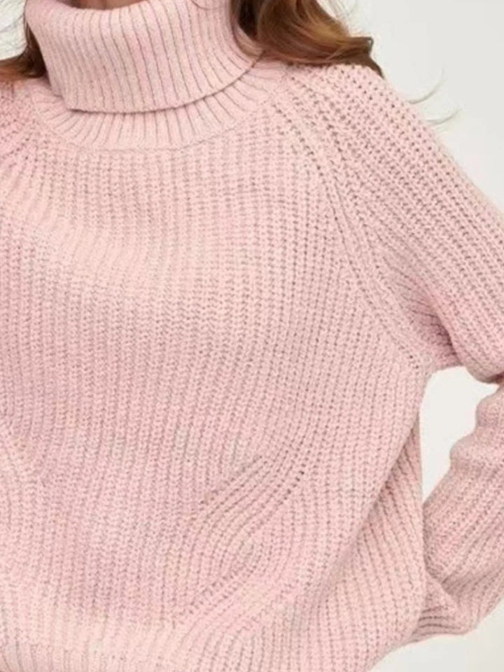 Turtleneck Long Sleeve Sweater | Sweaters Daverri Fashions