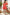 ADORA Puff Sleeve Floral Dress CORAL S