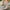 eae7a3ced32745878be73da0794c99f2-Max-Origin