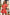 ADORA Puff Sleeve Floral Dress