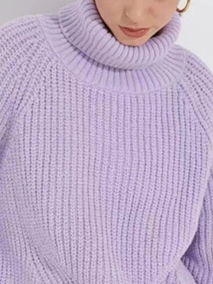 Turtleneck Long Sleeve Sweater | Sweaters Daverri Fashions