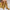 ee6ccbd4c4384763bd4171bd77d08a54-Max-Origin