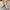 ef393e30f0634429b4e2ed934b211fab-Max-Origin