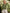 efdc5871-d790-4a91-b033-0fd71c7f1ee5-Max