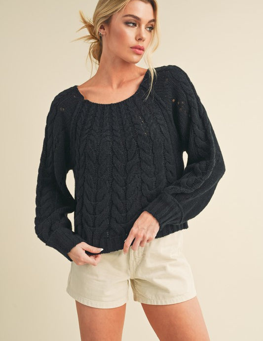 Aemi + Co Cable-Knit Openwork Round Neck Sweater Black