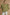 Umgee Jacquard Heart Collared Shirt OLIVE GREEN Shirts
