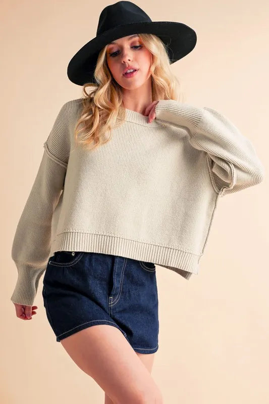 Aemi+Co Ribbed Hem Exposed Seam Round Neck Sweater