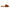 Juana Woven Sandals in Tan 130 Sandals