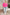 GeeGee Lightweight V-Neck Pink Sweater Sweaters
